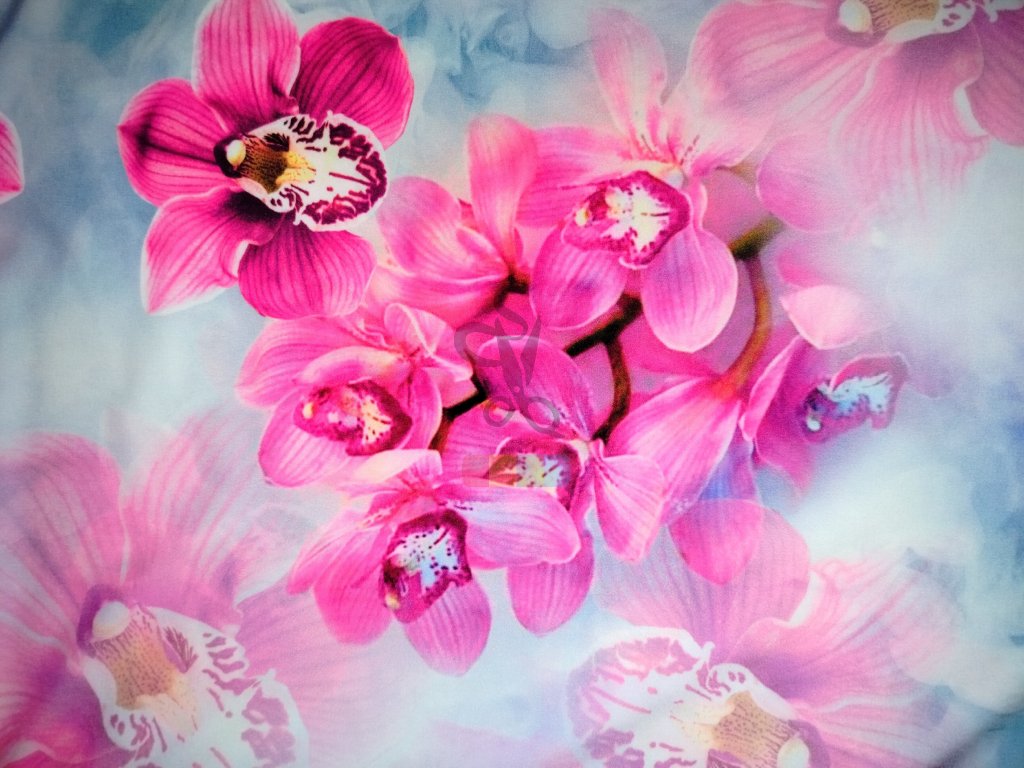 silk  - orchideje