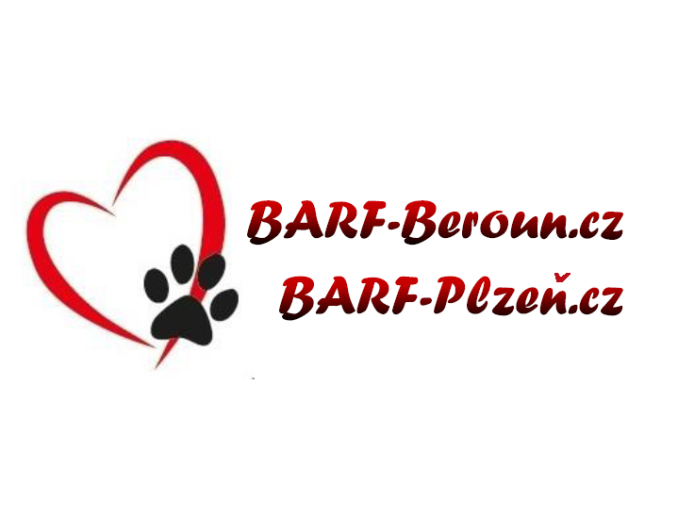 logo obe