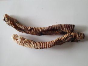 Sušený hovězí hrtan - průdušnice cca 40cm