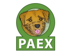 PAEX Logo RZ