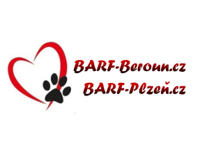 logo obe