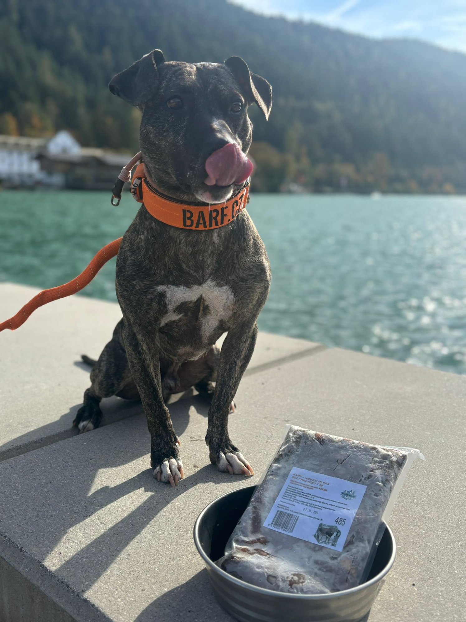 BARF.cz - Babí léto v našich duších