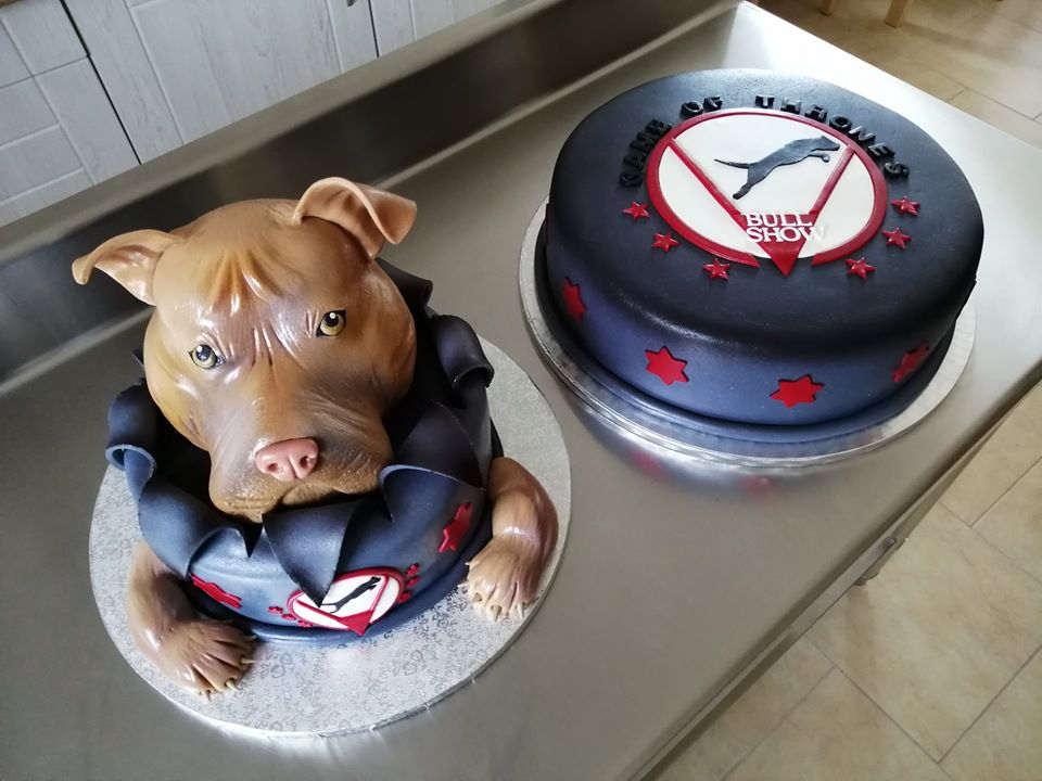 BARF.cz a charitativní projekt Game of Thrones Bull Show 2019