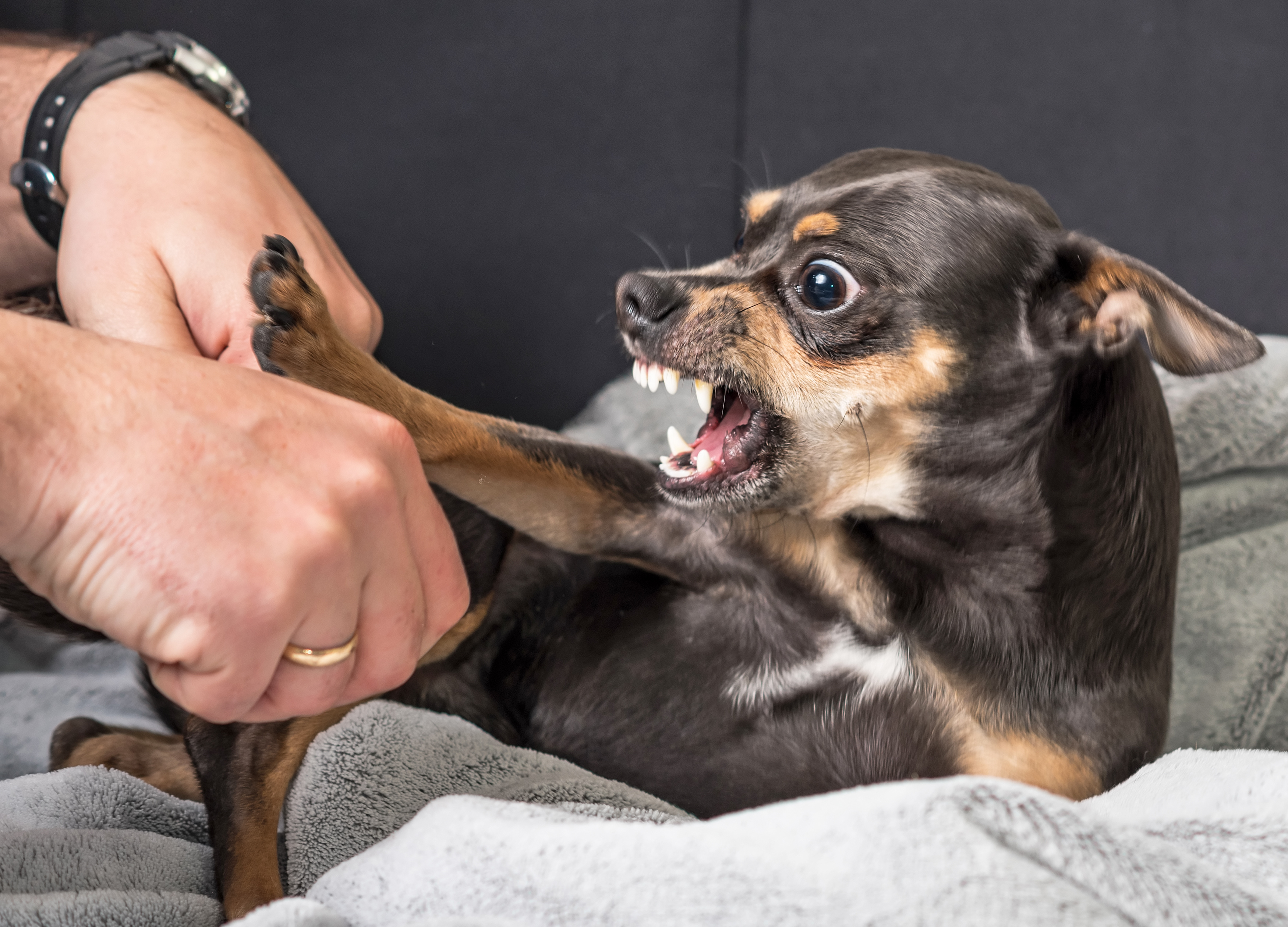 AdobeStock_108438728