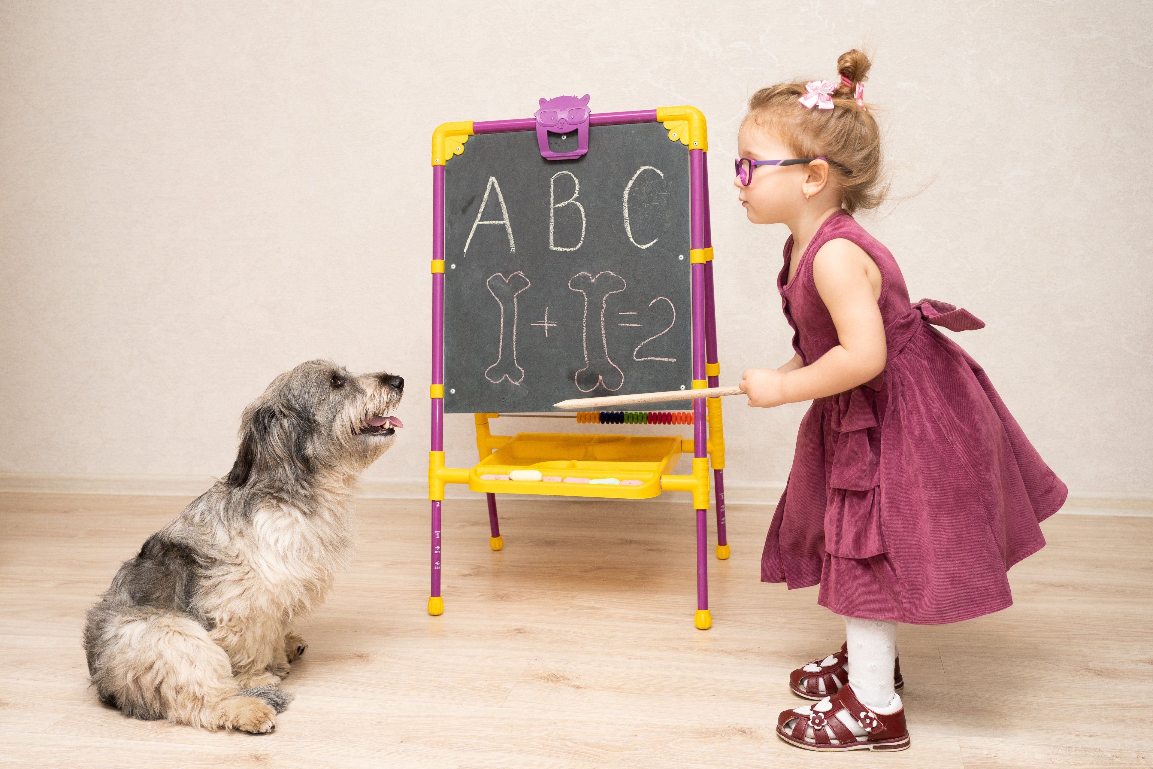 AdobeStock_395567384