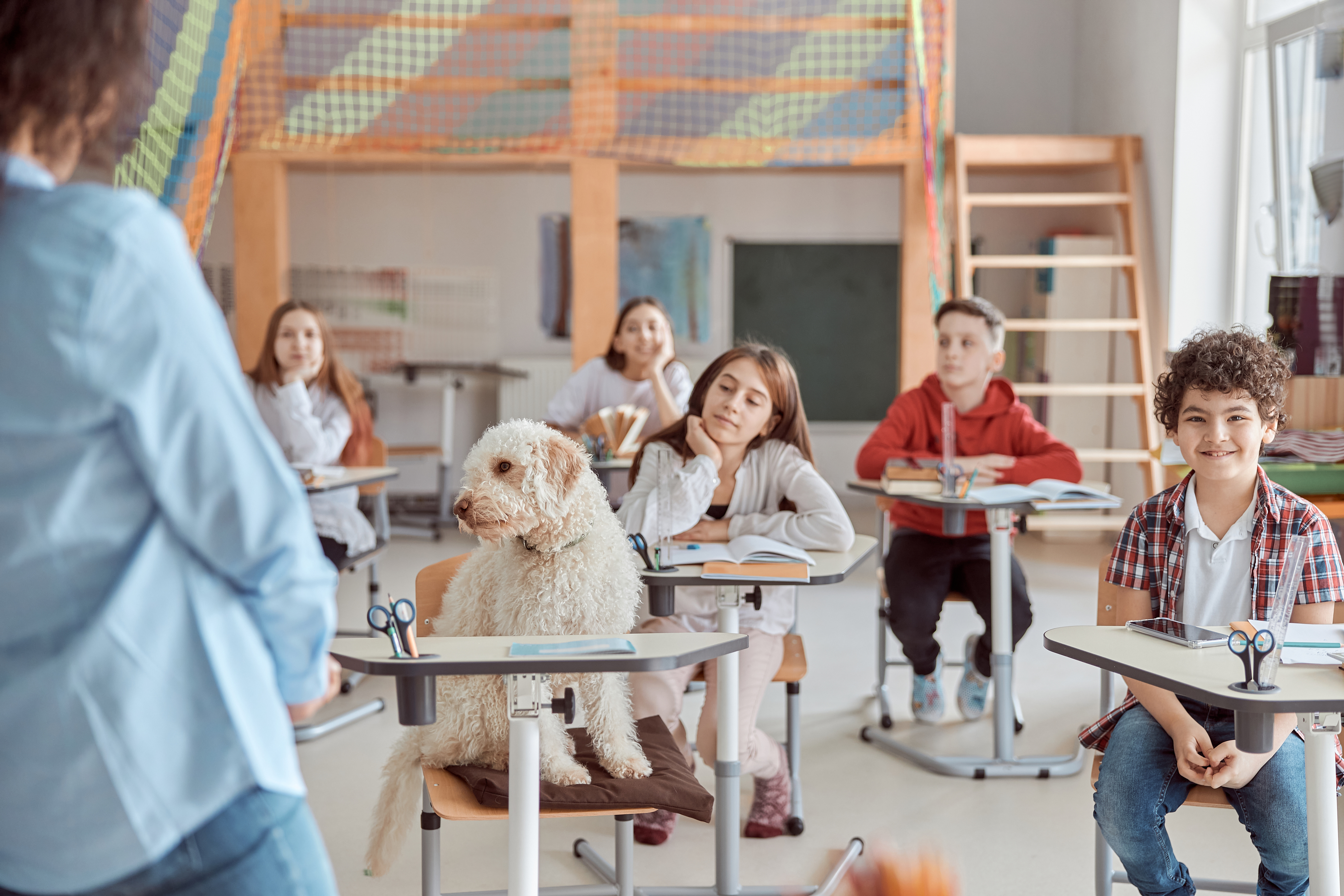 AdobeStock_421050977