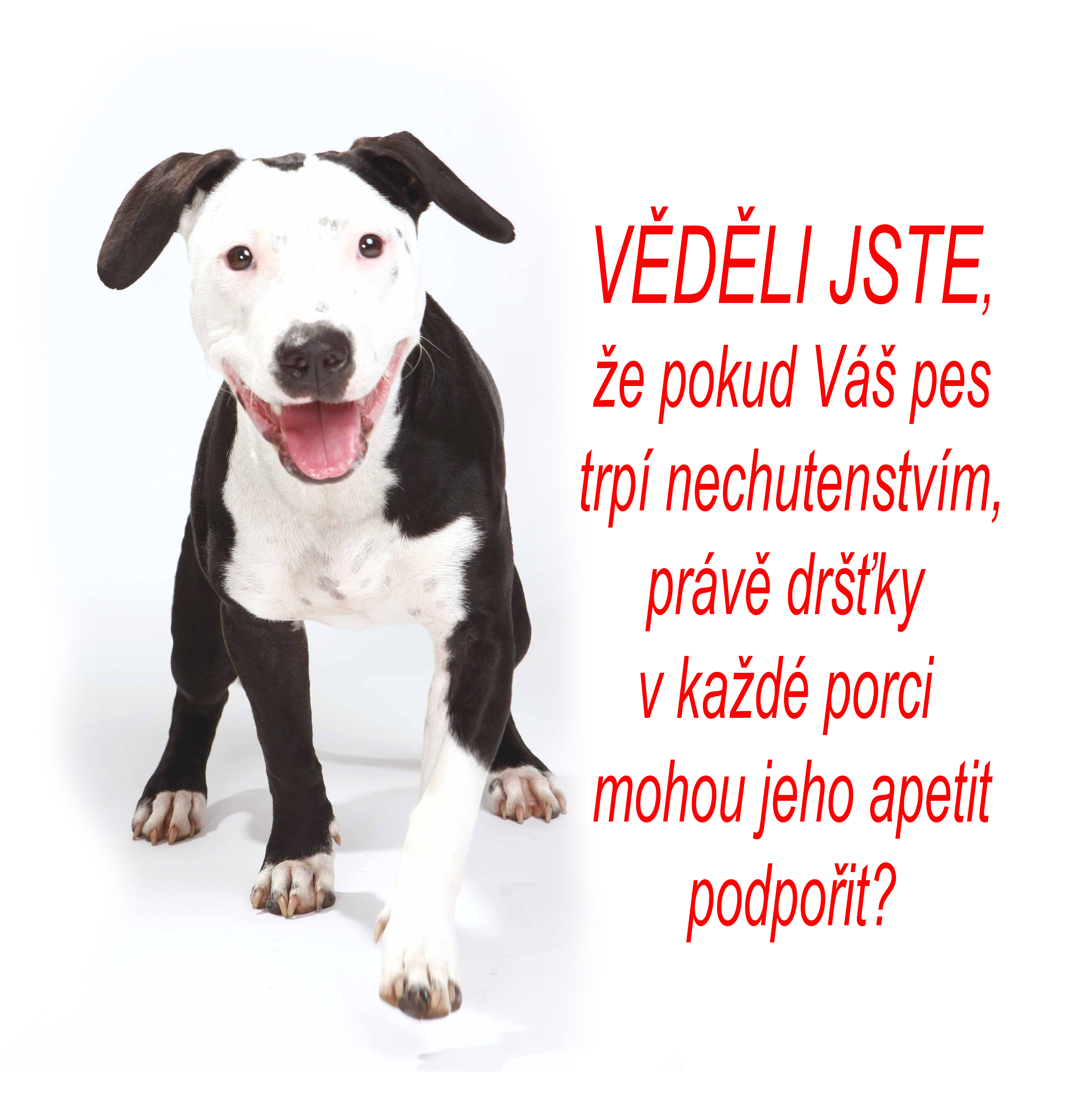 vedeli_jste_ze_drstky_nechutenstvi