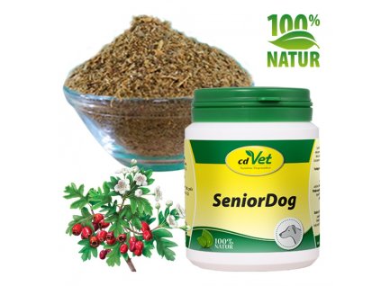 senior dog cdvet original