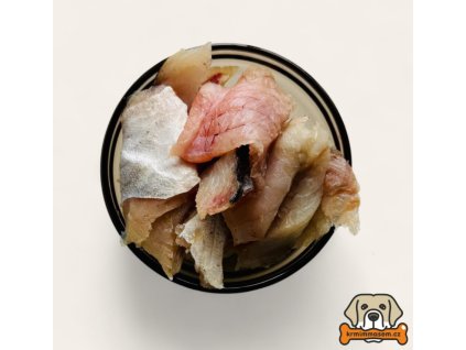 Opera Snímek 2025 12 11 010018 www.krmimmasem.cz