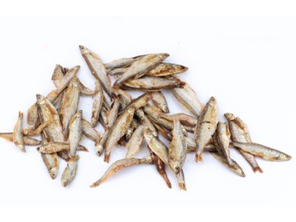 Opera Snímek 2026 03 10 230448 b2b.krmivahulin.cz