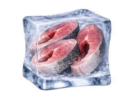 TOLSTOLOBIK podkovy 1 ks