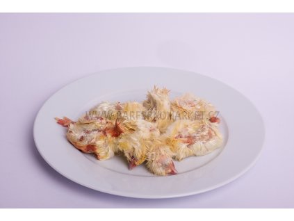 Jednodenní kuřátka 1 kg