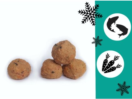 Snímek obrazovky 2025 11 26 131120