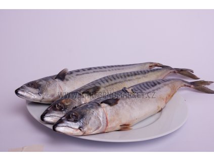 Makrela celá nekuchaná 1 kg