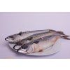 Makrela celá nekuchaná 1 kg
