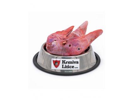 kachni hlava