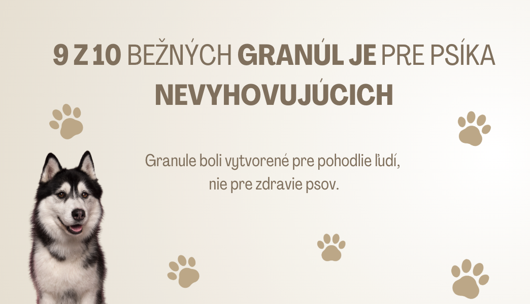 92 % problémov väčšiny psíkov je spôsobených nesprávnou stravou. Prečo tomu tak je?