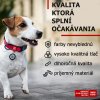 Nylonový obojok s QR kódom avokádo WAU DOG