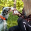 Hovädzie vo vlastnej šťave 400g so psom