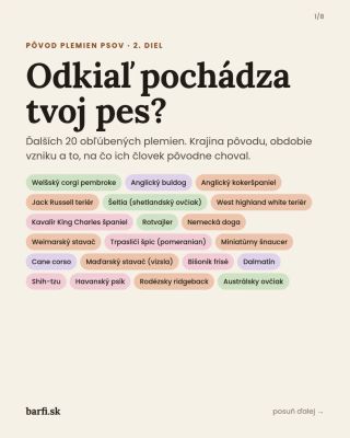 Odkiaľ pochádza tvoj pes? 2. diel 🐕 Austrálsky ovčiak vôbec nie je z Austrálie, rotvajler hnal dobytok s mäsiarmi a...