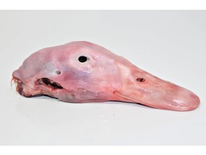 Snímek obrazovky 2026 01 27 111541