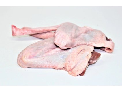 Snímek obrazovky 2026 01 27 111800