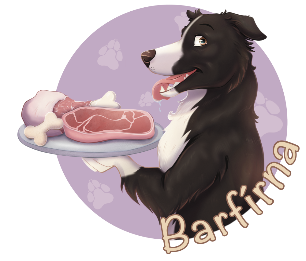 barfírna.cz