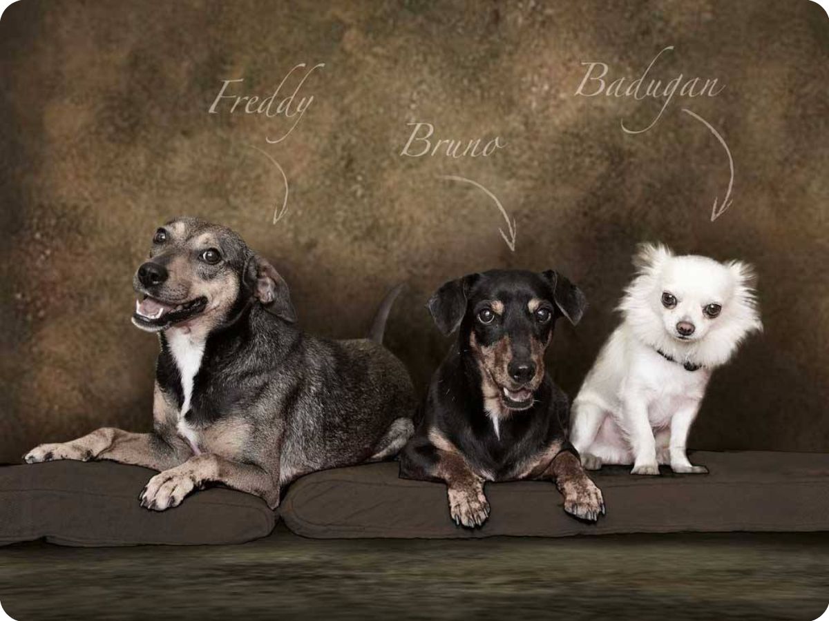 Příběh naší značky