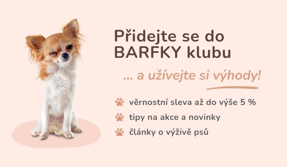 Záleží vám na zdraví vašeho psa? Tak to jste na správném místě!