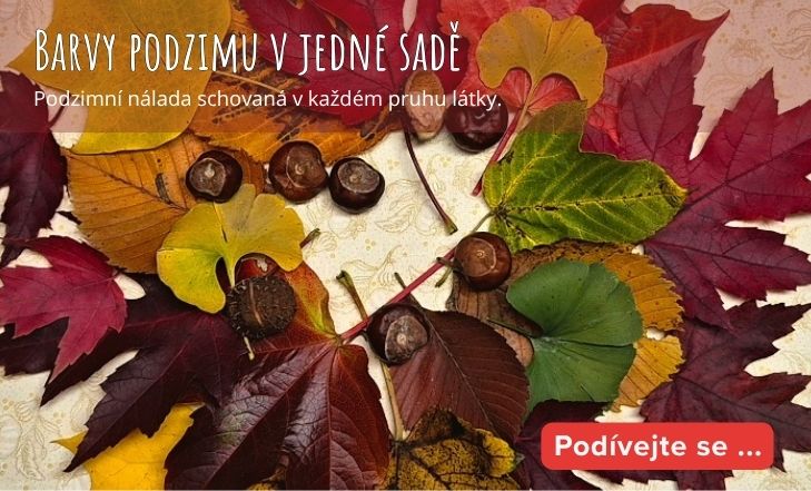 Barvy podzimu v jedné sadě