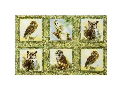 Owls of Wonder Panel