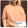pantone 3 1023