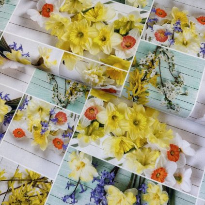 175772 3 bavlna digital narcisy