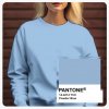 pantone 14 4214