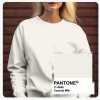 pantone 11 0608