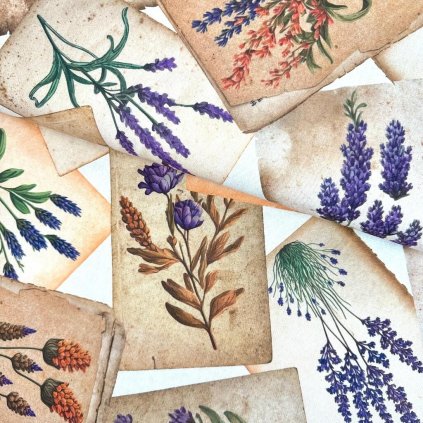 174035 bavlna sarah digital 200g levandula a bylinky v 1