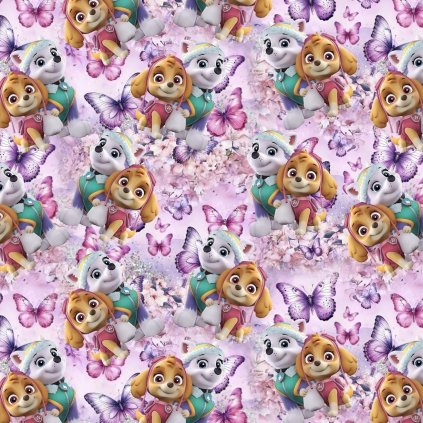 266726 3 softshell digital 280g paw patrol