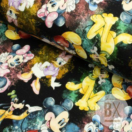 5760 4 teplakovina digital disney friends
