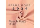 Farba roka 2024