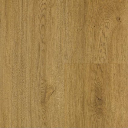 SolidCore Xciting 5.0mm click 62106 Dub Ambience kávový