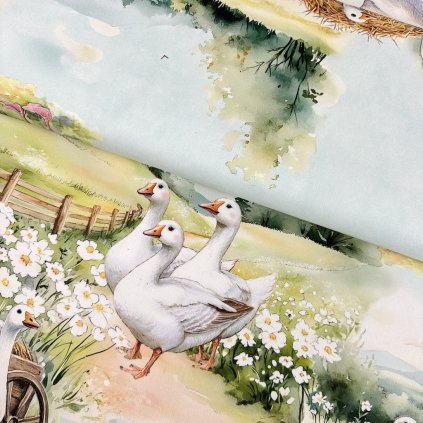 Bavlna digital - Husy