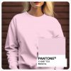 pantone 13 2807
