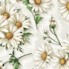 Španielska Loneta - Kvety margarétky