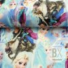 Teplákovina digital - Anna a Elsa Frozen