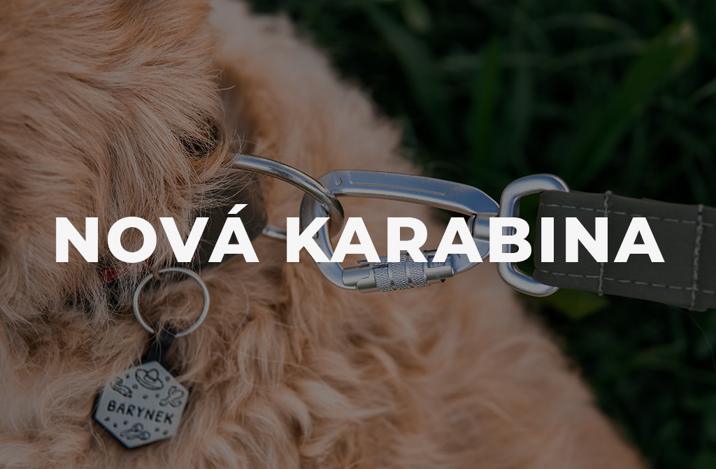 Nová bezpečnostní karabina