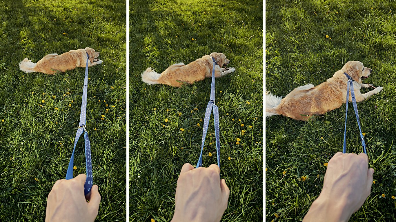 Přepínací vodítko znázornění různých přepnutí délek