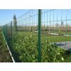 europlast e plastové svařované pletivo na plot foto 02