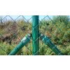 4668 1 stvorhranne pletivo na plot pozinkovane a poplastovane machova zelena ral 6005 002