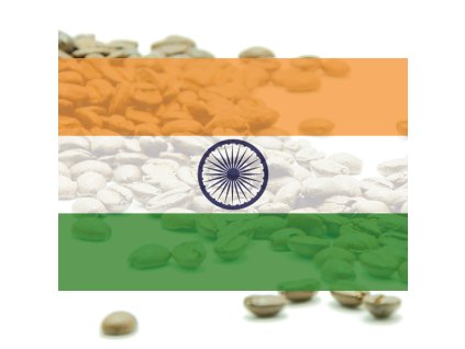 KÁVA INDIA - Plantation AA "Bababudangiri" - 100% arabika (Požadovaná váha 250g)