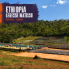 Ethiopia Legesse Matisso 1kg